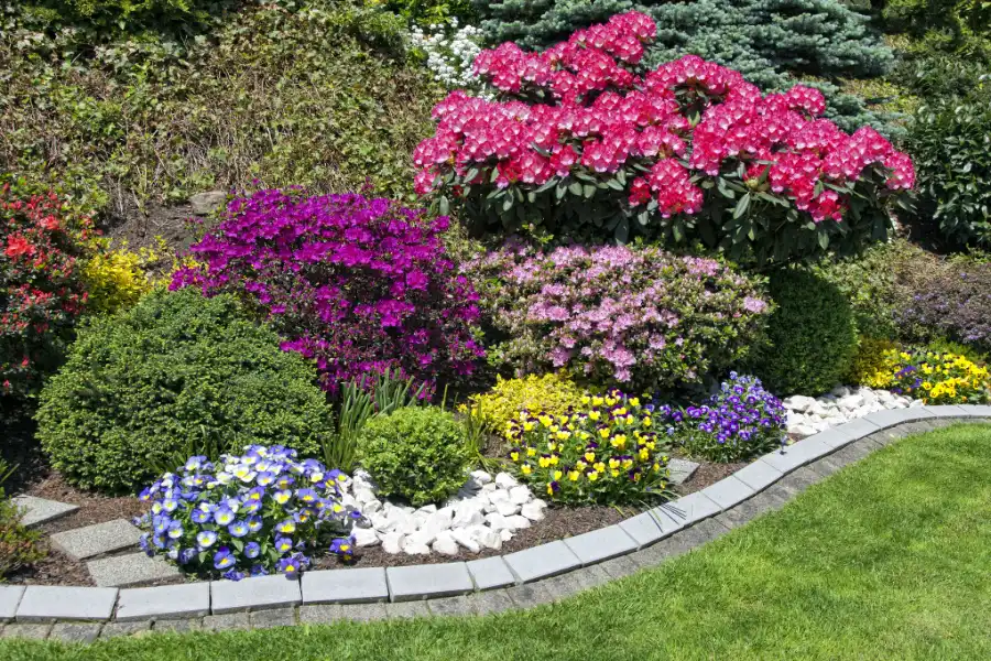 Chino's Landscaping's Other Services Chino's Landscaping's Other Services