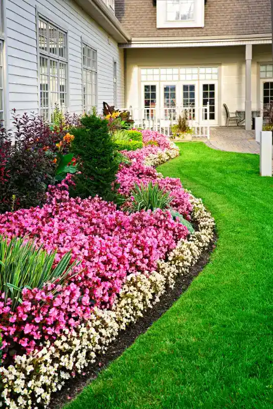 Flower Bed Design Services Flower Bed Design Services