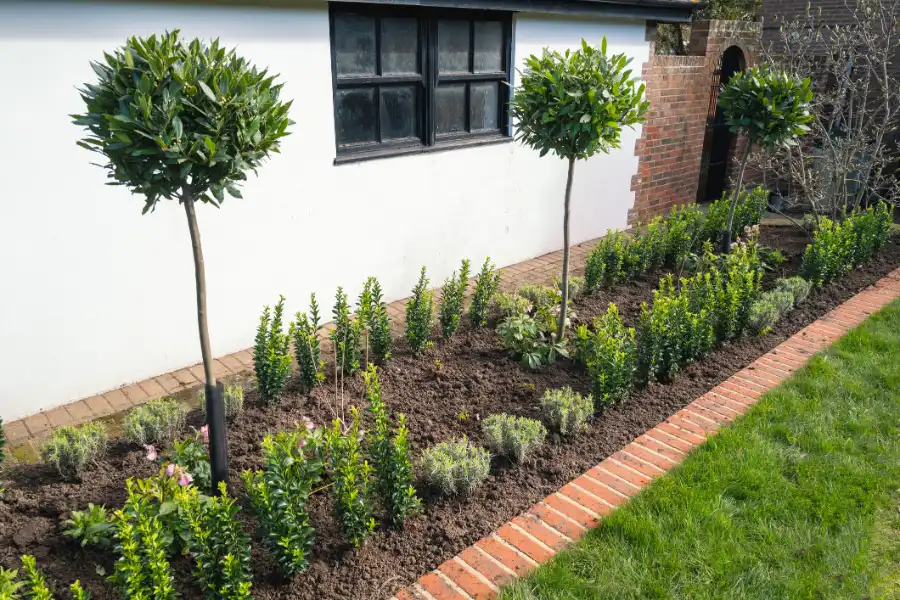 Reliable Flower Bed Edging Flower Bed Edging