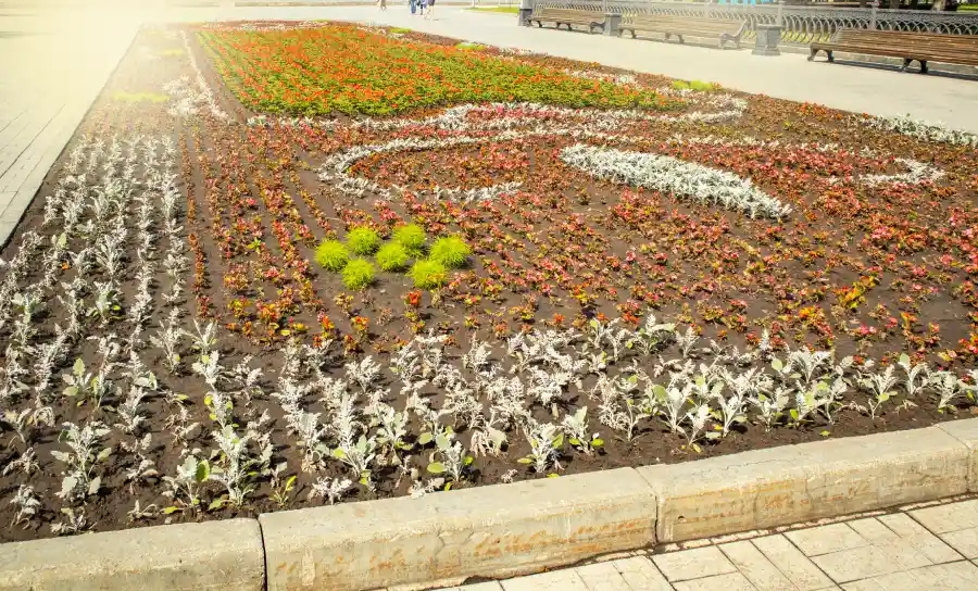 How Proper Flower Bed Installation Enhances Soil Health Gonzales, LA How Proper Flower Bed Installation Enhances Soil Health Gonzales, LA