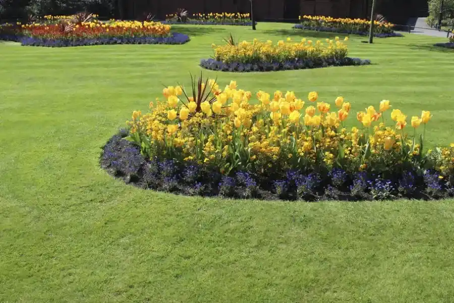 Reliable Flower Bed Edging Gonzales, LA Reliable Flower Bed Edging Gonzales, LA